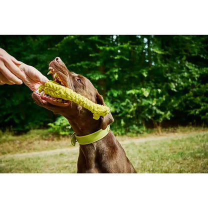 Greta Giraffe - Kult-Spielzeug für Hunde