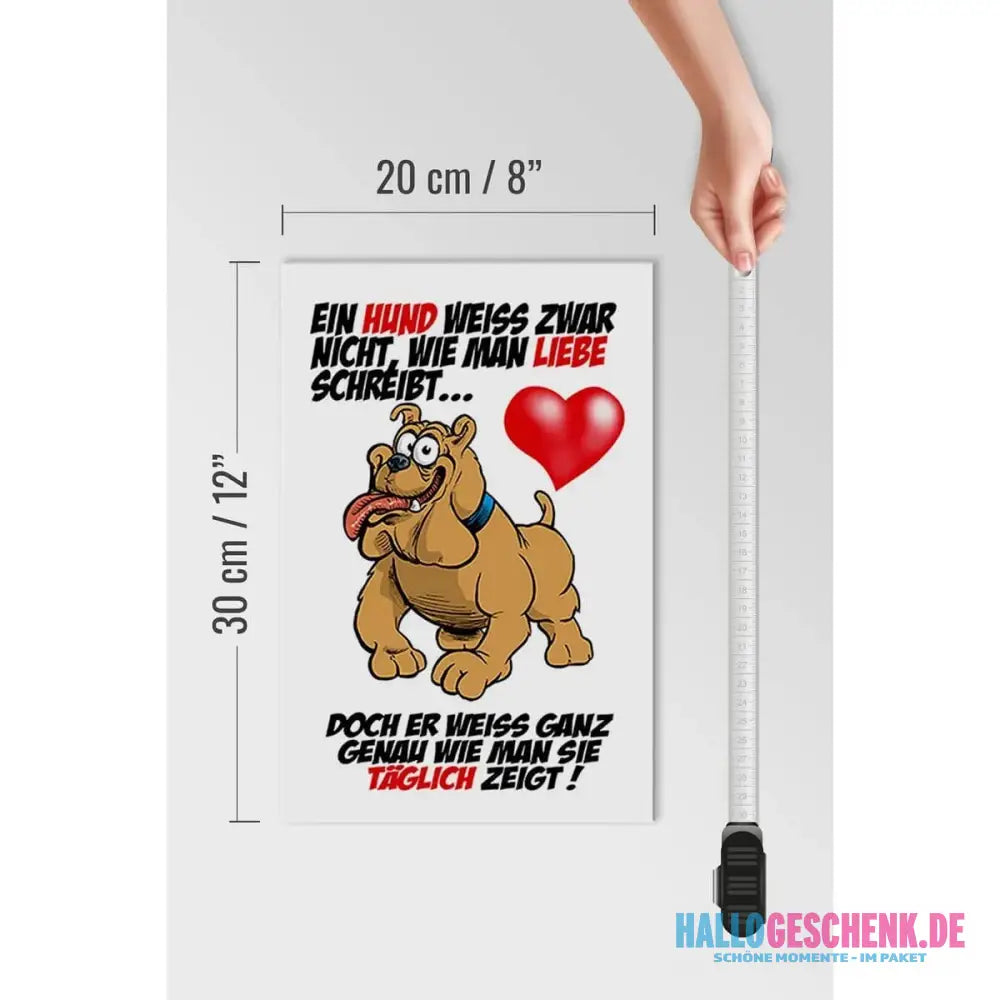 Holzschild Spruch 20x30cm Hund Liebe zeigen Deko Schild