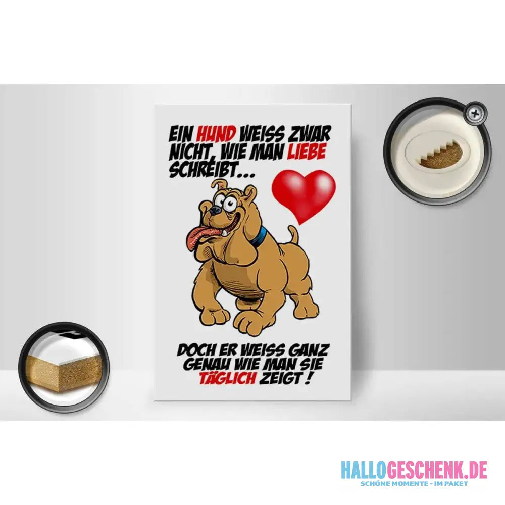 Holzschild Spruch 20x30cm Hund Liebe zeigen Deko Schild