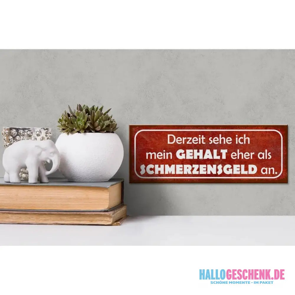 Holzschild Spruch 27x10cm Mein Gehalt eher Schmerzensgeld