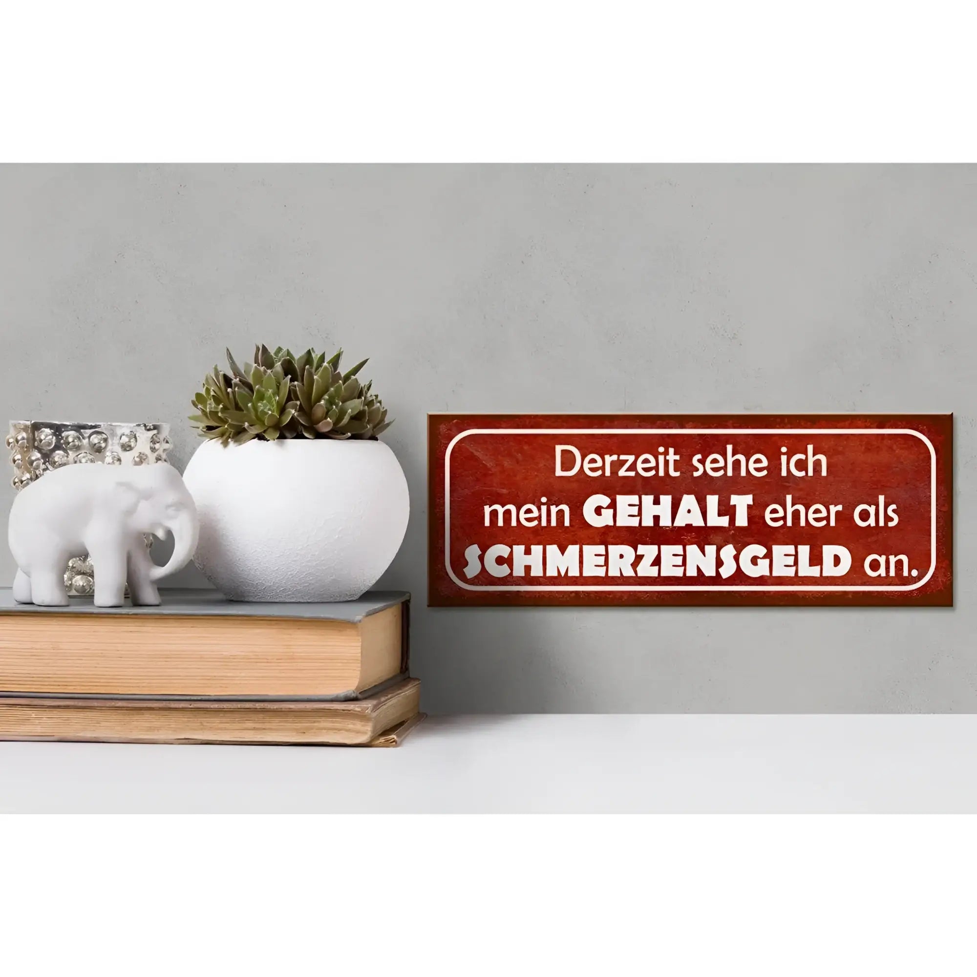 Rotes rechteckiges metallschild mit weißem Text derzeit sehe ich mein gehalt eher als schmerzensgeld an holzschild 27x10cm