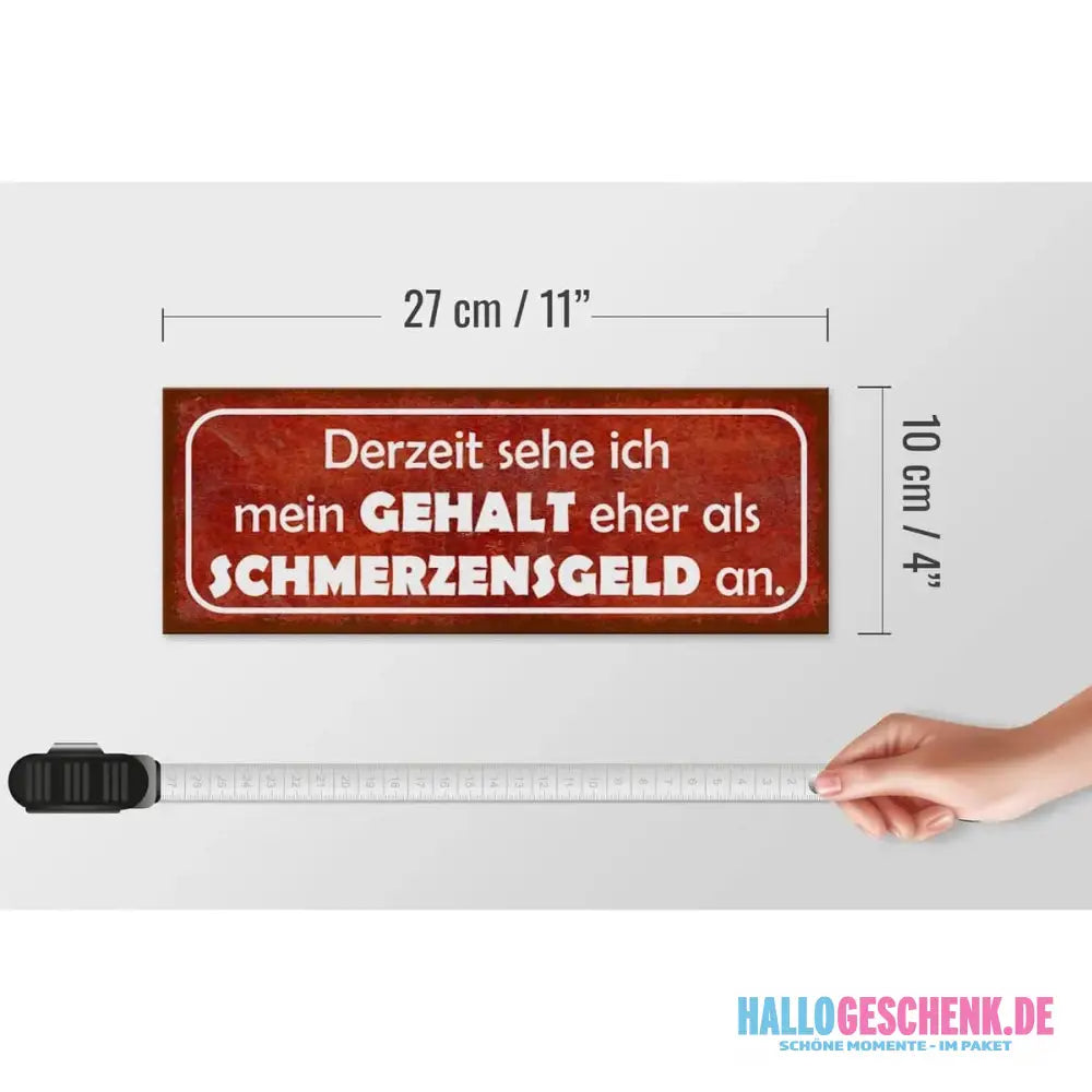 Holzschild Spruch 27x10cm Mein Gehalt eher Schmerzensgeld