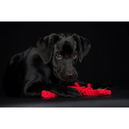Hugo Hummer - Kult-Spielzeug für Hunde