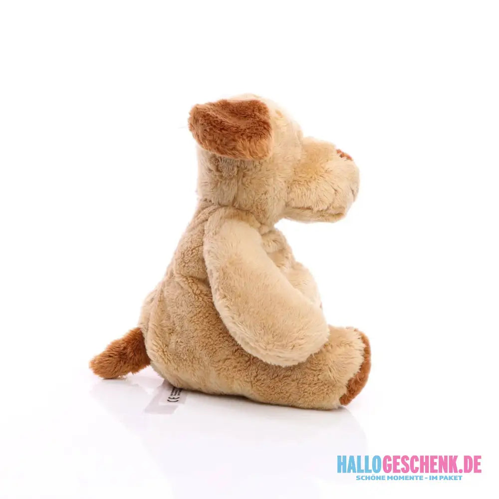 Hund Helge mit Oeko-Tex-Zertifikat, Plüschtier, Stofftier