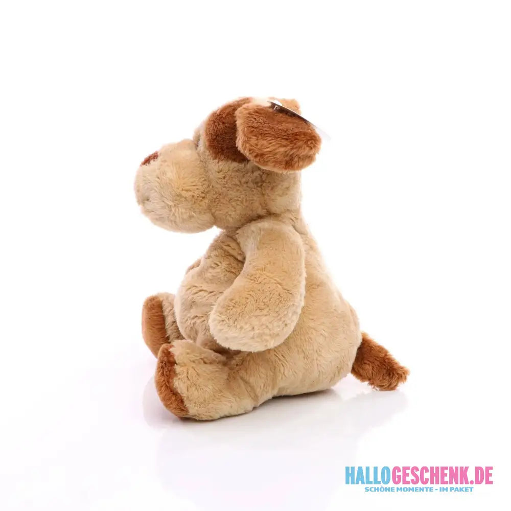 Hund Helge mit Oeko-Tex-Zertifikat, Plüschtier, Stofftier