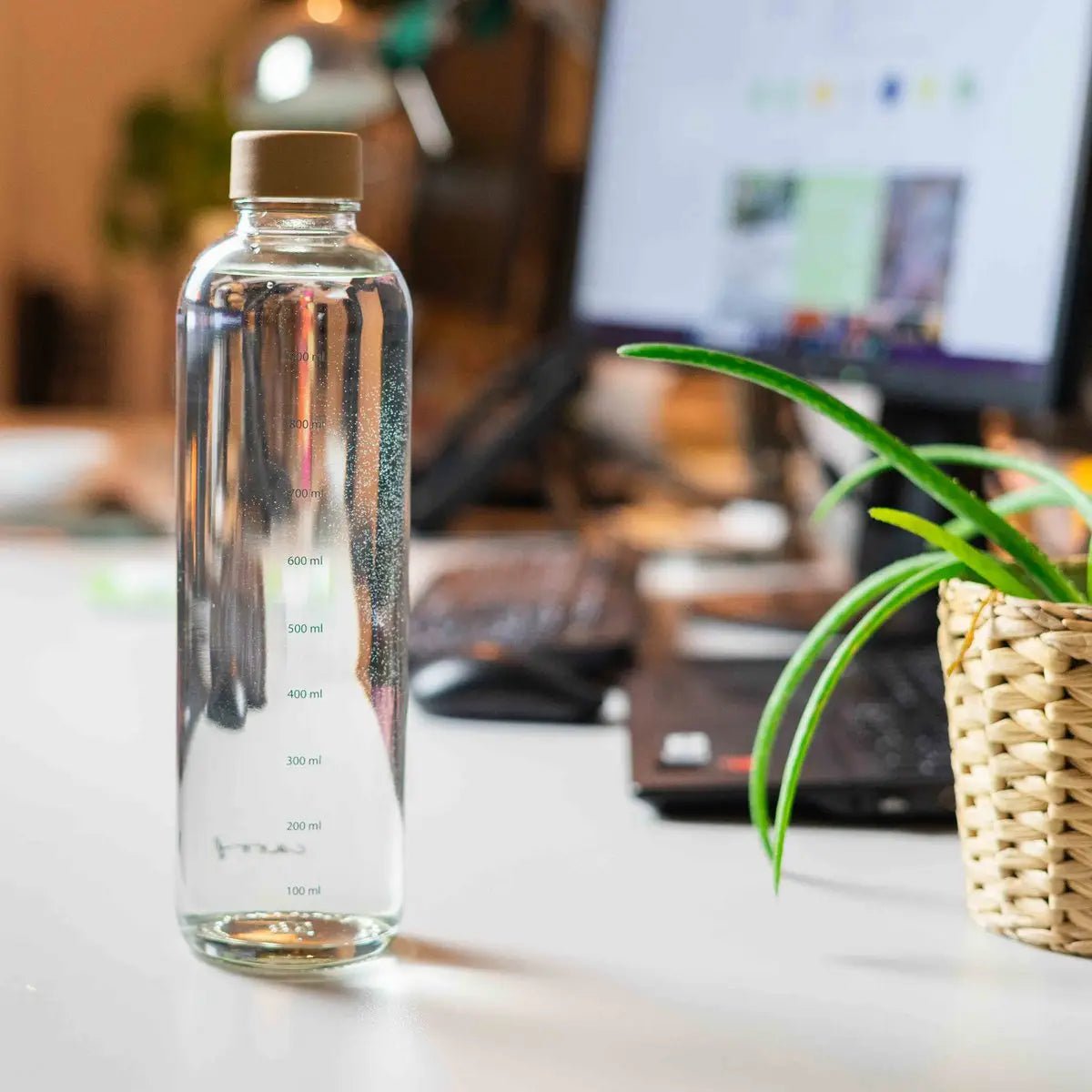 HYDRATION BOOSTER 1,0 l Glasflasche