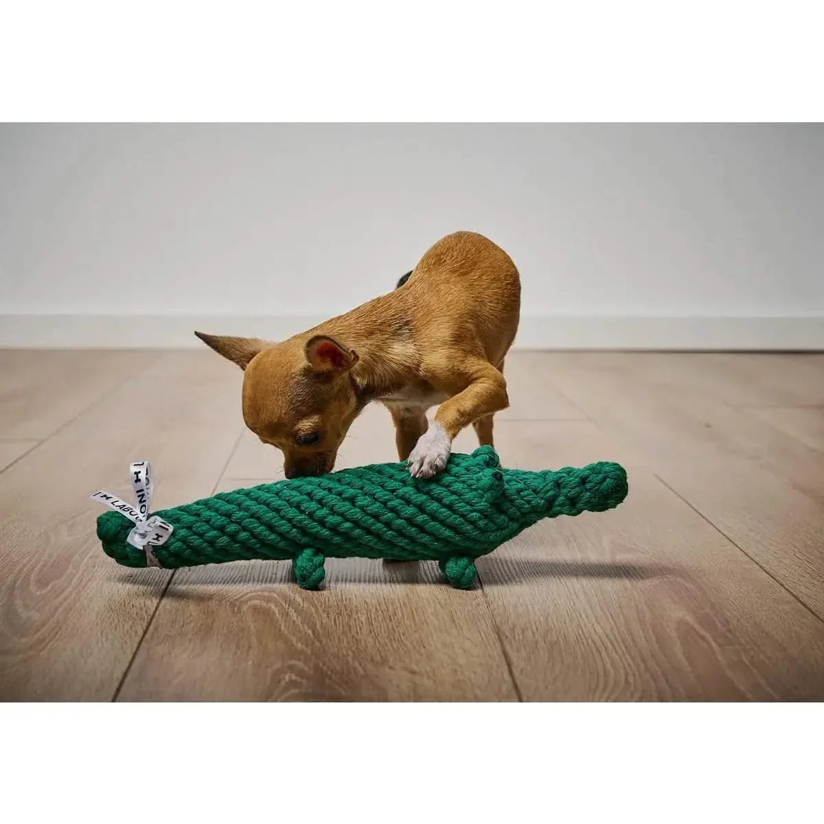 Kalli Krokodil - Kult-Spielzeug für Hunde
