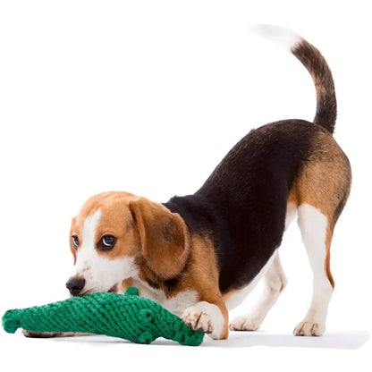 Kalli Krokodil - Kult-Spielzeug für Hunde