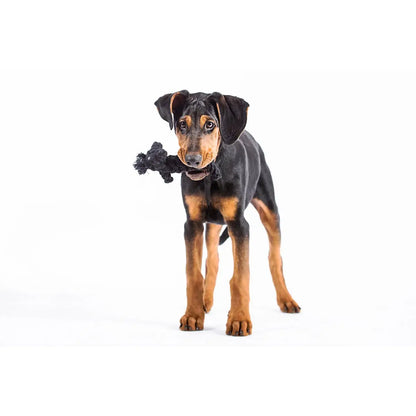 Kater Casanova - Kult-Spielzeug für Hunde