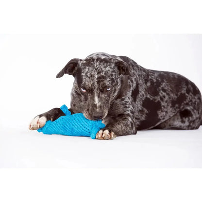 Kurt Känguru - Kult-Spielzeug für Hunde