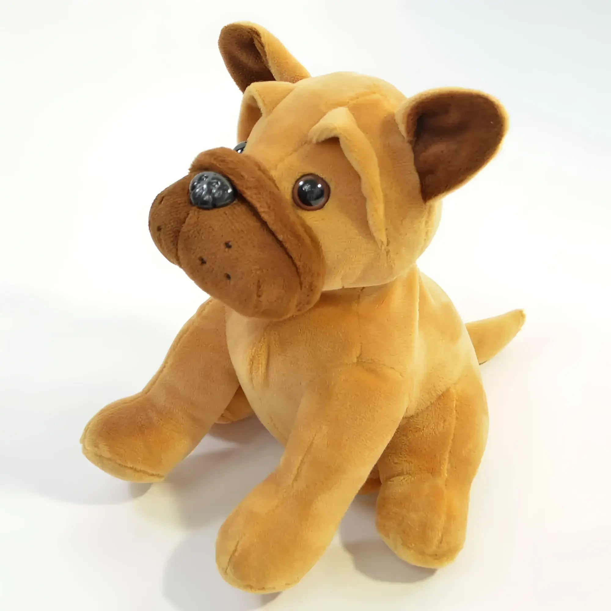 Plüschige französische bulldogge robert in beige mit dunklen ohren und schwarzen näschen, ein frecher spaßmacher zum nachplappern