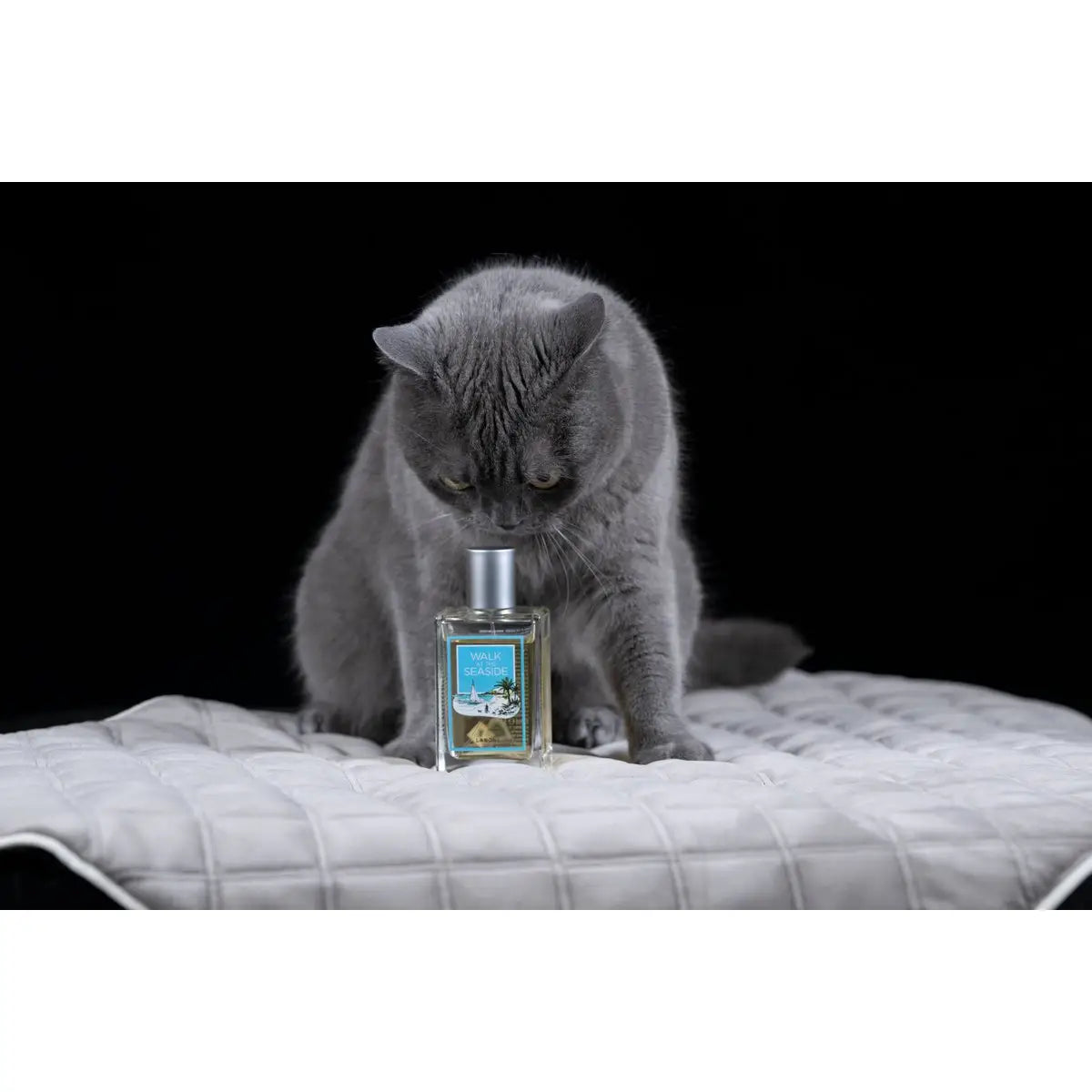LABONI FRAGRANCE - Edles Raumduft-Set zum Probierpreis