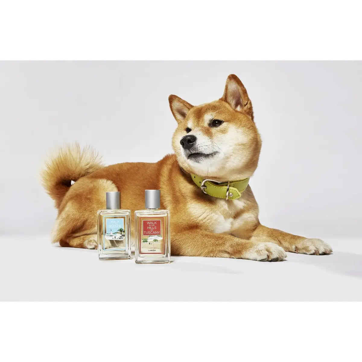 LABONI FRAGRANCE - Edles Raumduft-Set zum Probierpreis