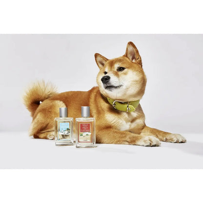 LABONI FRAGRANCE - Edles Raumduft-Set zum Probierpreis