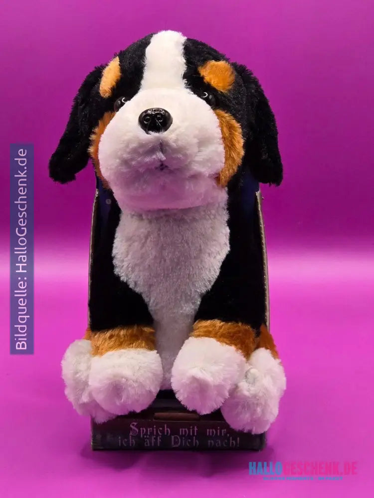 Lustiger Laber-Berner-Sennenhund ROCKY, der alles nachplappert • inkl. Batterien • 12,5x15x19,5 cm • Labertiere