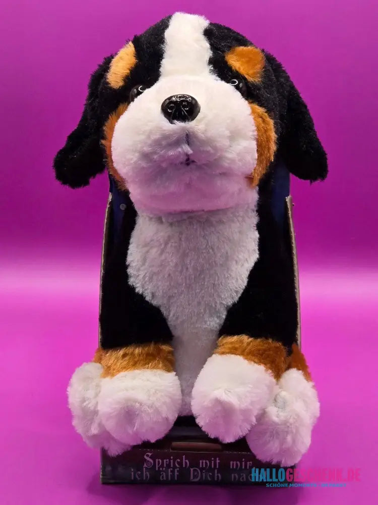 Lustiger Laber-Berner-Sennenhund ROCKY, der alles nachplappert • inkl. Batterien • 12,5x15x19,5 cm • Labertiere