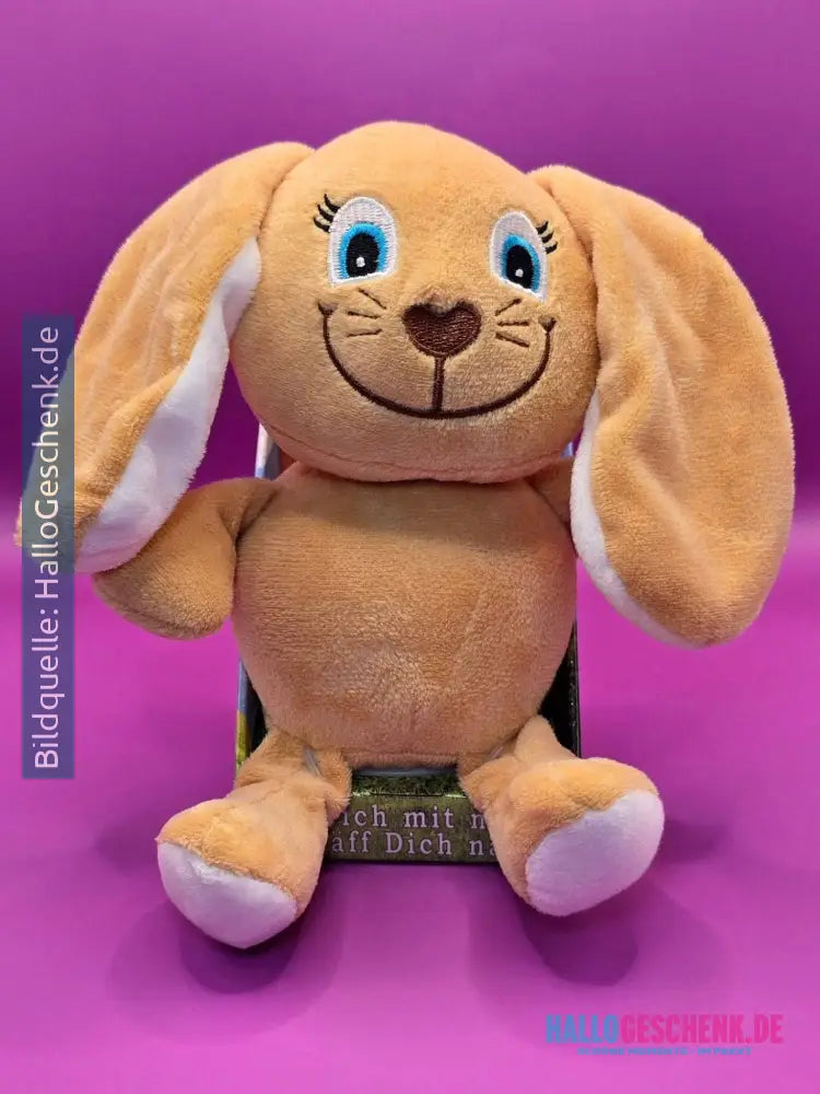 Lustiger Laber-Schlappohrhase SOCKE, der alles nachplappert • 15x10x17 cm • Labertiere