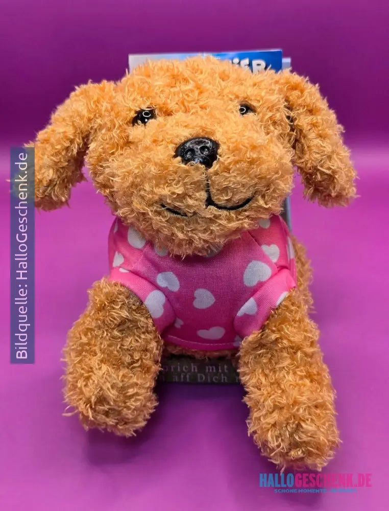 Lustiger Laber-Zwergpudel SISSI, der alles nachplappert • inkl. rosa Pullover • 16x16x17,5 cm • Labertiere