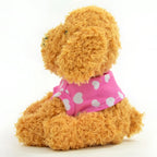 Ein flauschiger goldbrauner lustiger laber-zwergpudel sissi in rosa herzgemustertem pullover aus stoff