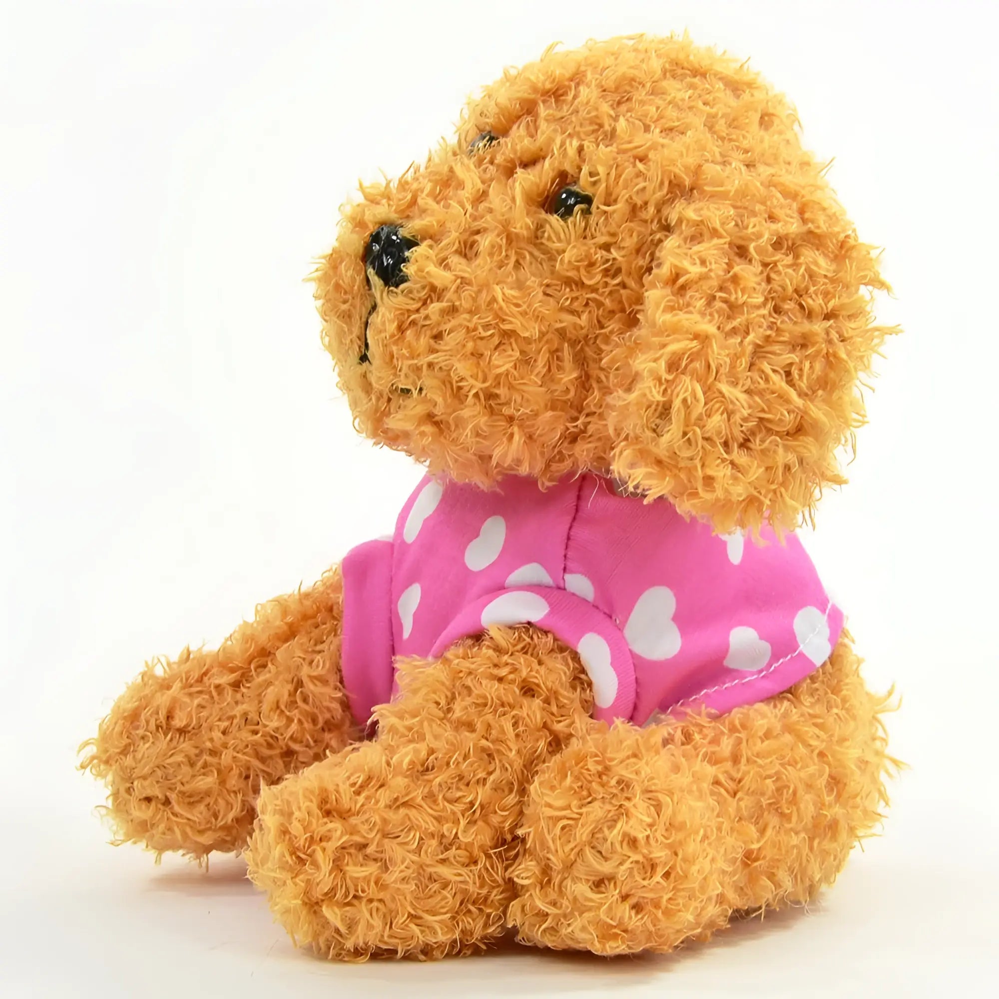 Ein flauschiger goldbrauner labertier zwergpudel namens sissi mit rosa pullover und weißen herzmustern