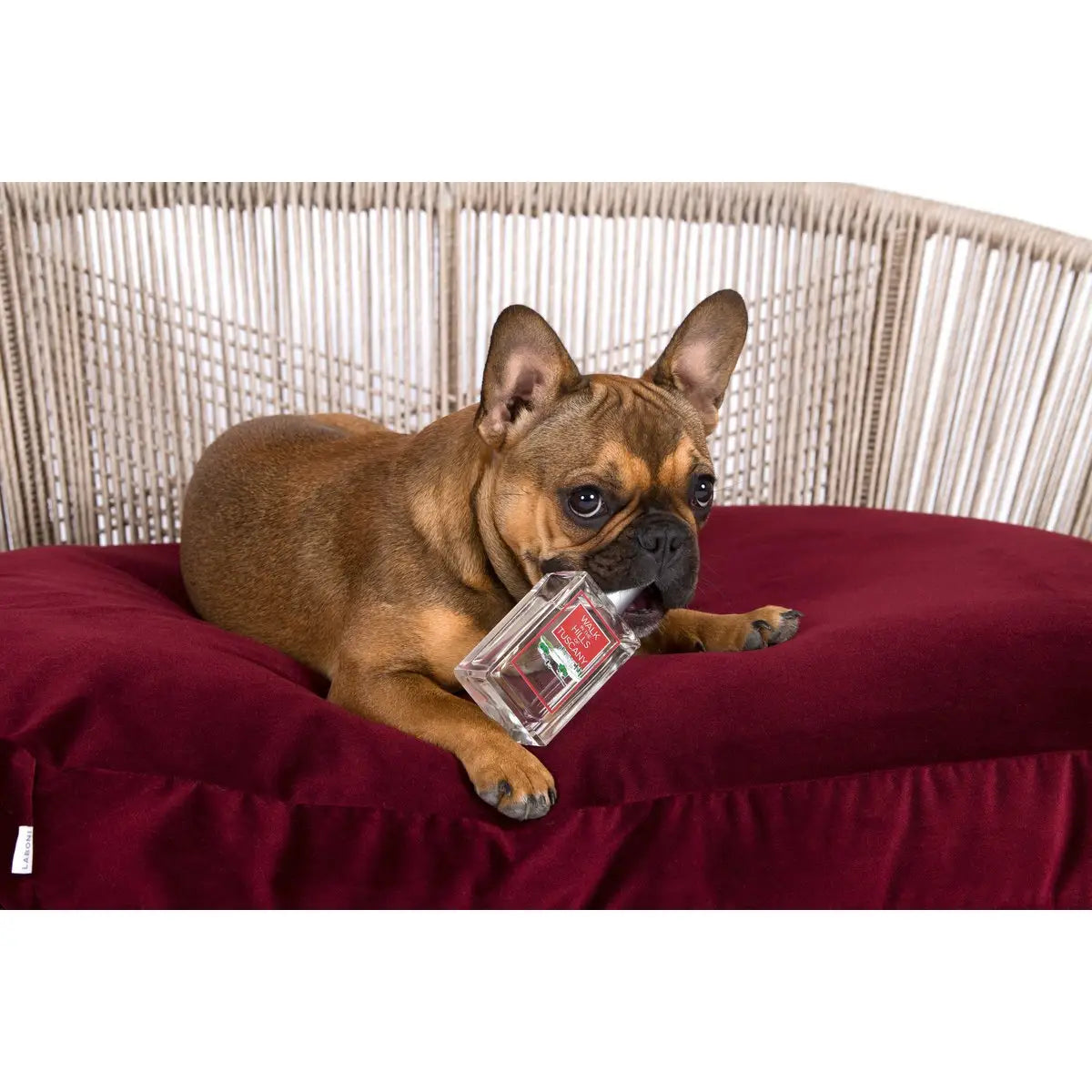 Madame LABONI - Spielzeug-Set für Hunde