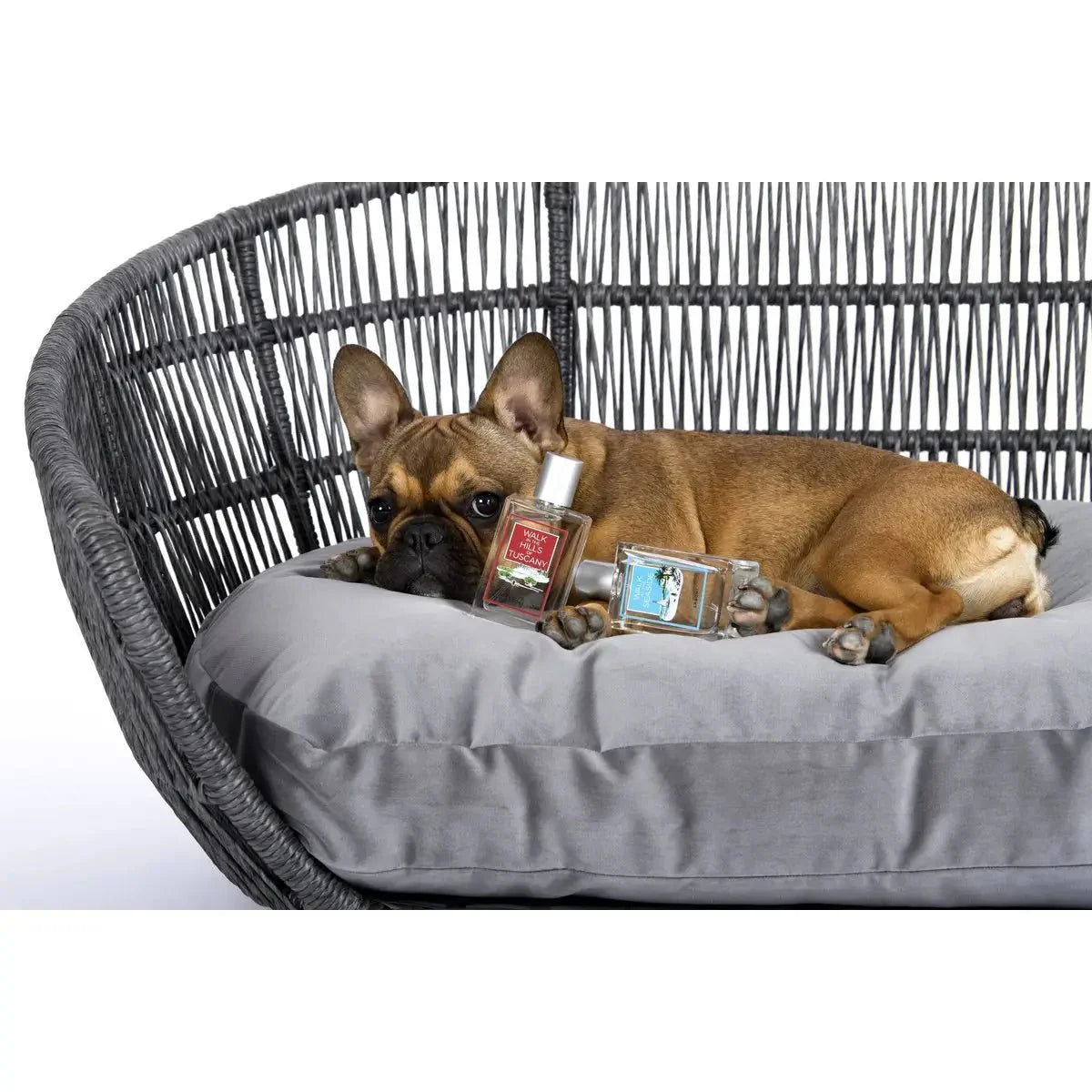 Madame LABONI - Spielzeug-Set für Hunde