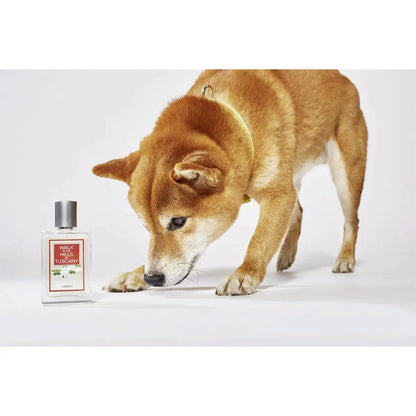Madame LABONI - Spielzeug-Set für Hunde