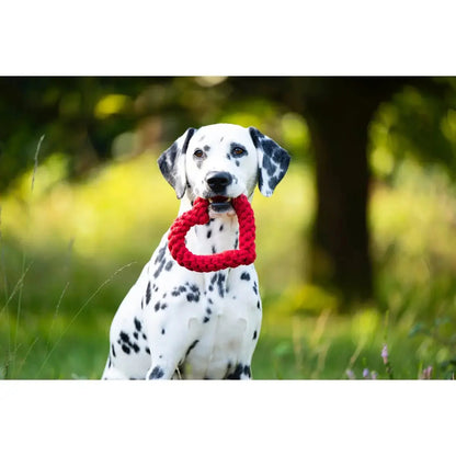 Madame LABONI - Spielzeug-Set für Hunde