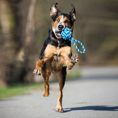 Maxi Schleuderball - Kult-Spielzeug für Hunde