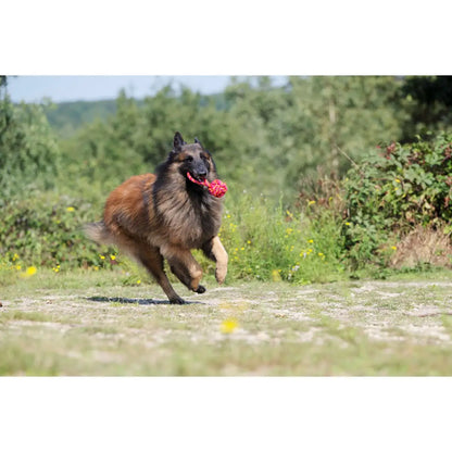 Maxi Schleuderball - Kult-Spielzeug für Hunde