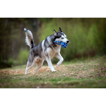 Maxi Schleuderball - Kult-Spielzeug für Hunde