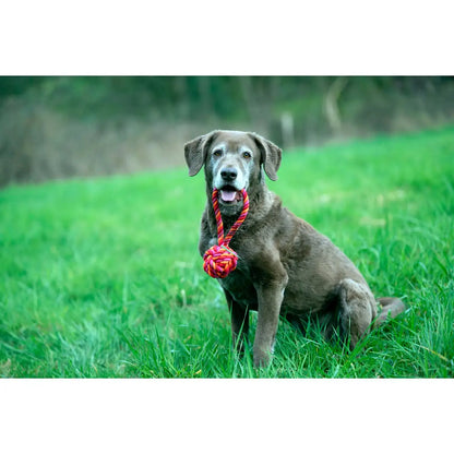 Maxi Schleuderball - Kult-Spielzeug für Hunde