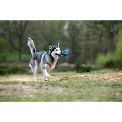 Maxi Schleuderball - Kult-Spielzeug für Hunde