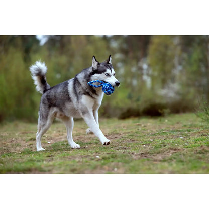 Maxi Schleuderball - Kult-Spielzeug für Hunde