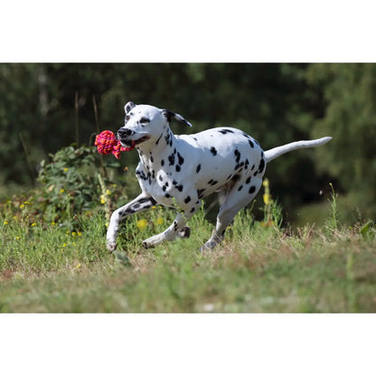 Maxi Schleuderball - Kult-Spielzeug für Hunde