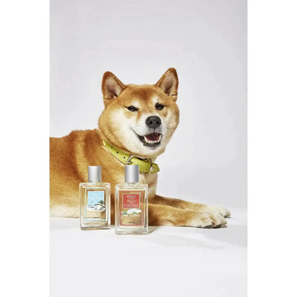 Monsieur LABONI - Spielzeug-Set für Hunde