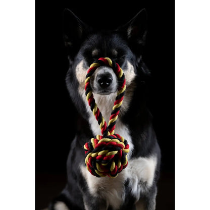 National Schleuderball - Kult-Spielzeug für Hunde