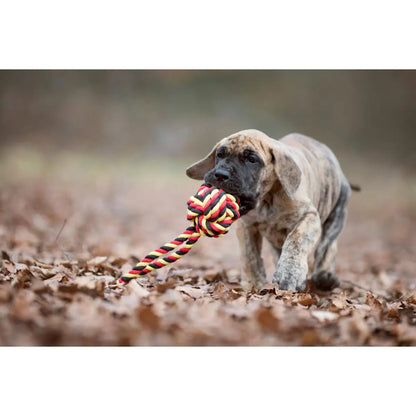 National Schleuderball - Kult-Spielzeug für Hunde