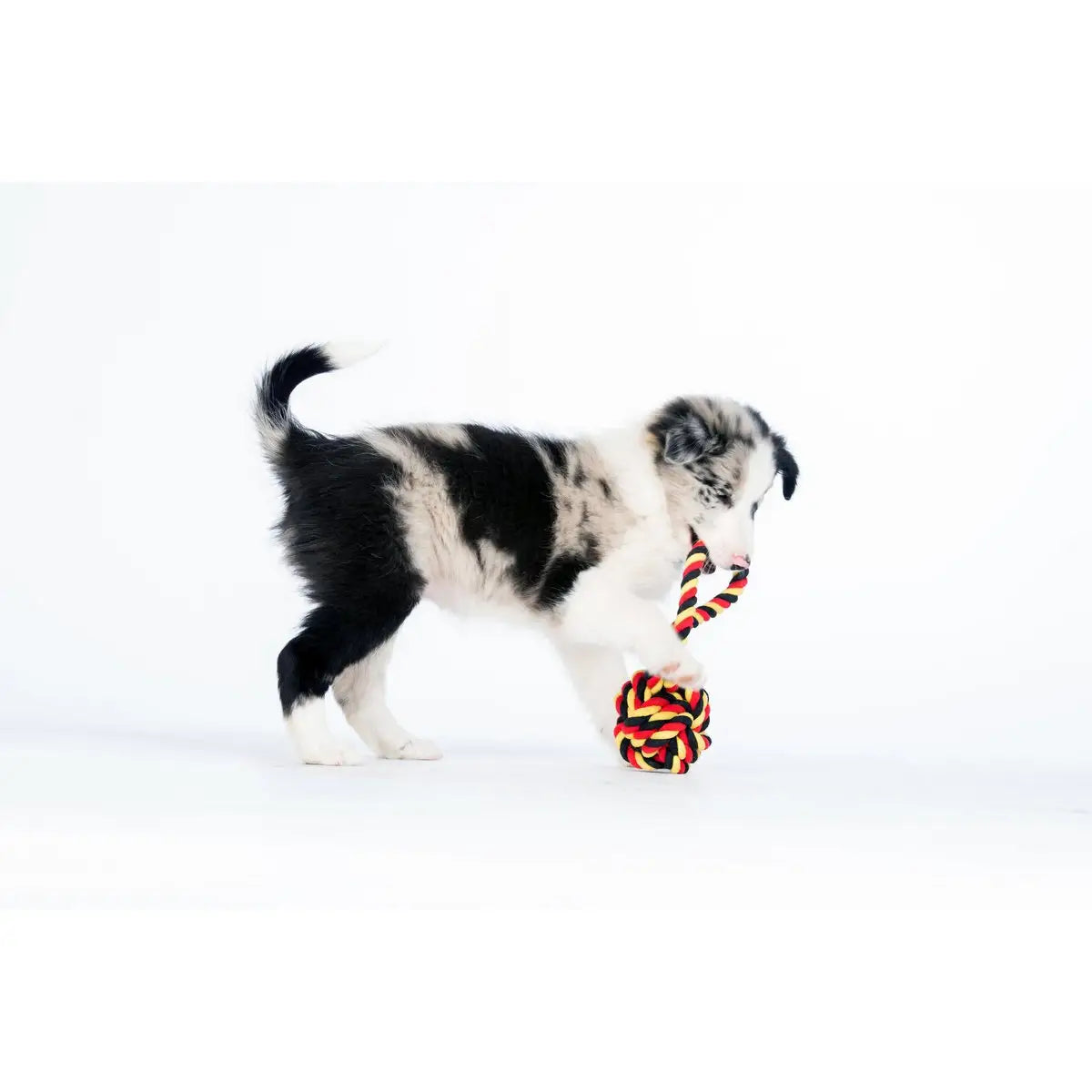 National Schleuderball - Kult-Spielzeug für Hunde