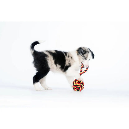 National Schleuderball - Kult-Spielzeug für Hunde
