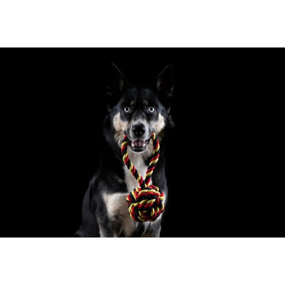 National Schleuderball - Kult-Spielzeug für Hunde