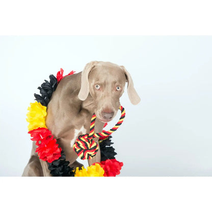 National Schleuderball - Kult-Spielzeug für Hunde