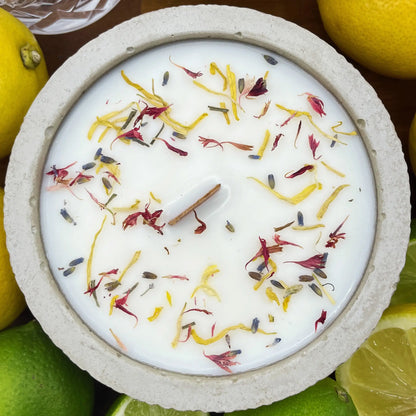 Outdoor Citronella-Betonkerze „Mugge Schreck“ – Handgemachter Insektenschutz aus dem Südschwarzwald