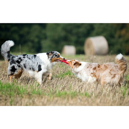 Paulchen Peace - Kult-Spielzeug für Hunde