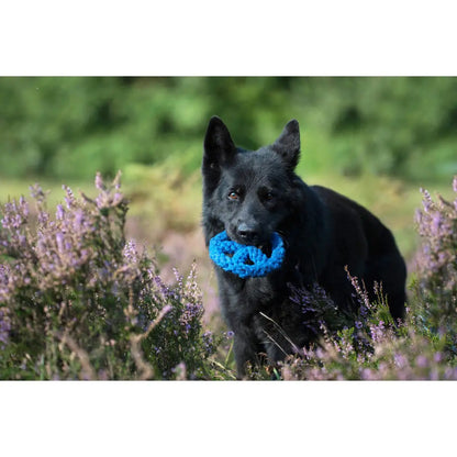 Paulchen Peace - Kult-Spielzeug für Hunde