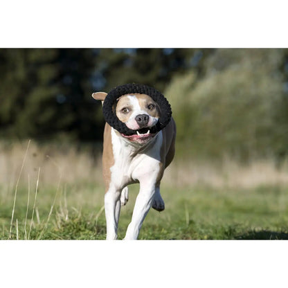 Ringo Ring - Kult-Spielzeug für Hunde