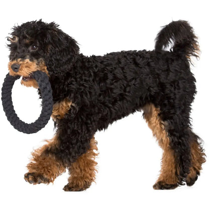 Ringo Ring - Kult-Spielzeug für Hunde