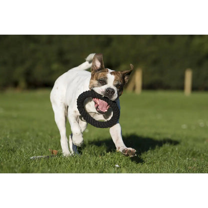 Ringo Ring - Kult-Spielzeug für Hunde