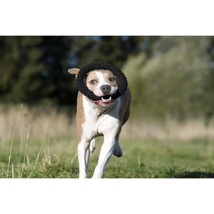 Ringo Ring - Kult-Spielzeug für Hunde