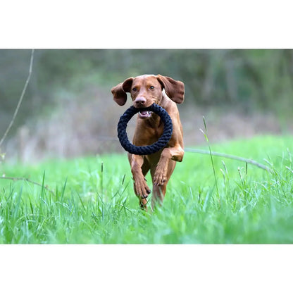 Ringo Ring - Kult-Spielzeug für Hunde